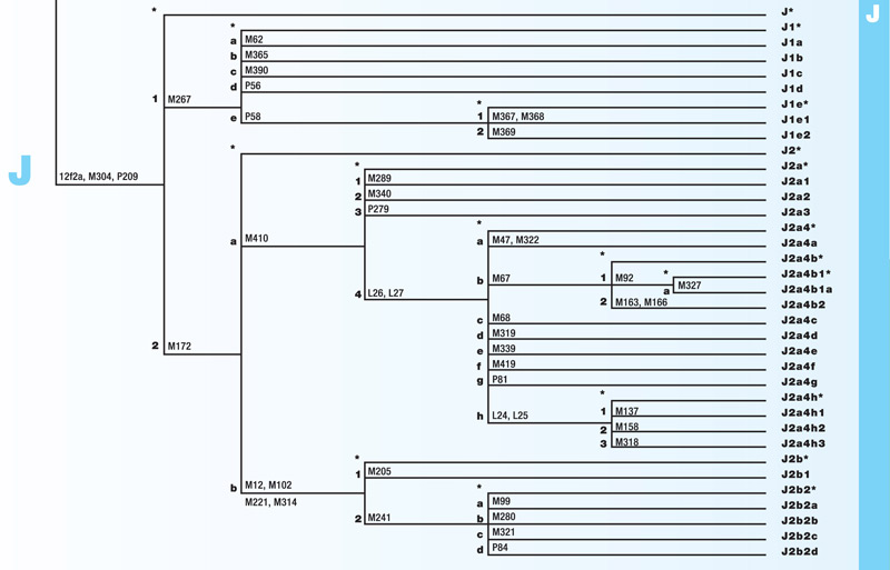 Haplogroup E