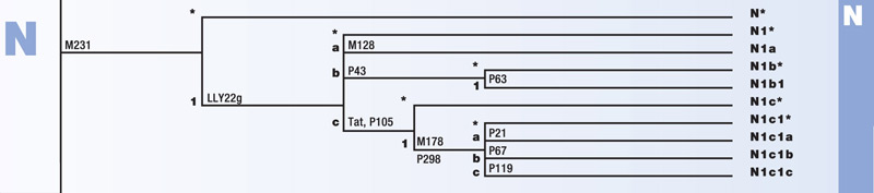 Haplogroup E