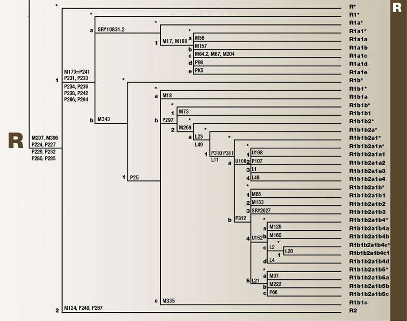 Haplogroup E