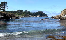 Point Lobos State Natural Reserve