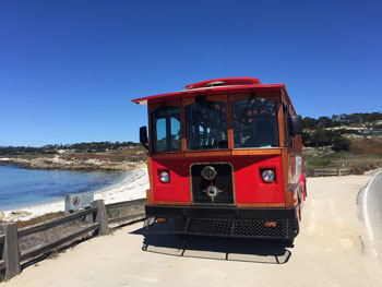 Wine Trolley